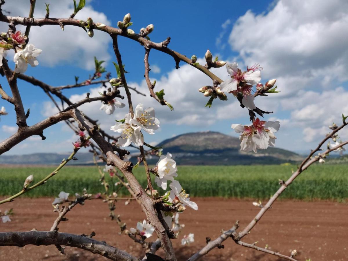 Galilee Best Location 'En Dor ภายนอก รูปภาพ