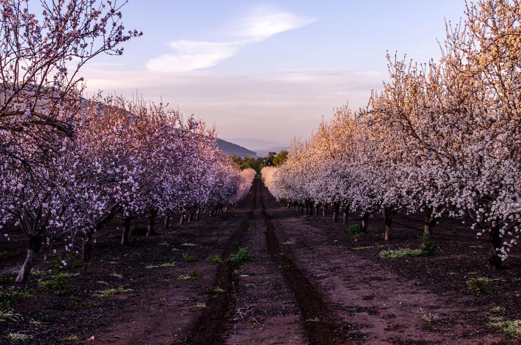 Galilee Best Location 'En Dor ภายนอก รูปภาพ